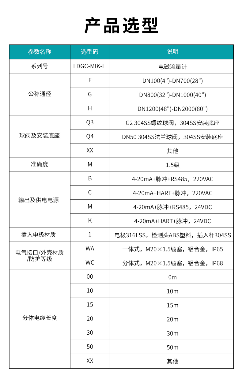 LDGC-MIK-L插入式电磁流量计(QT).jpg